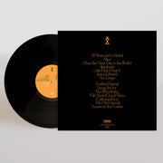 Hiss Golden Messenger: Jump For Joy Vinyl LP