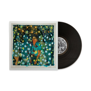 Will Butler + Sister Squares Vinyl LP
