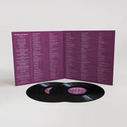 The Mountain Goats: Getting Into Knives Vinyl LP