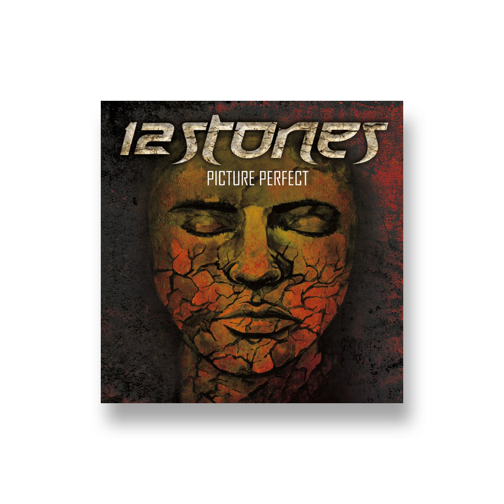 12 Stones: Picture Perfect CD