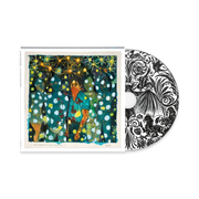 Will Butler + Sister Squares CD