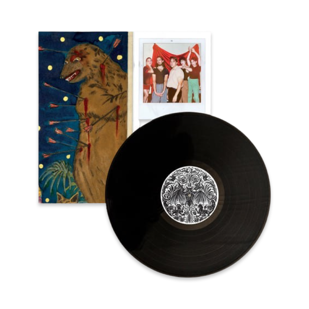 Will Butler + Sister Squares Vinyl LP