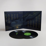 The Mountain Goats: In League With Dragons Vinyl LP