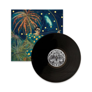 Will Butler + Sister Squares Vinyl LP