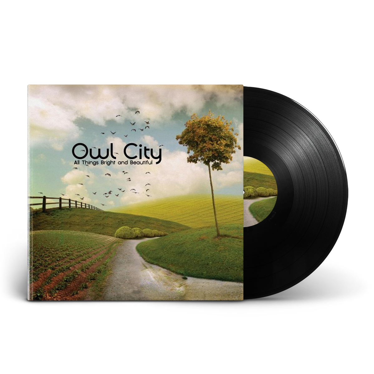 Owl City: All Things Bright and Beautiful Vinyl LP