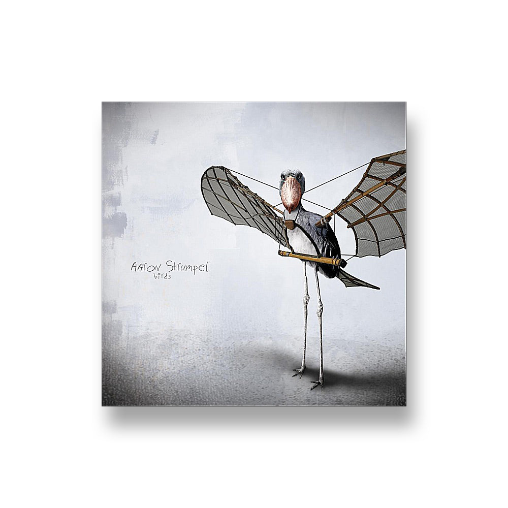 Aaron Strumpel: Birds CD