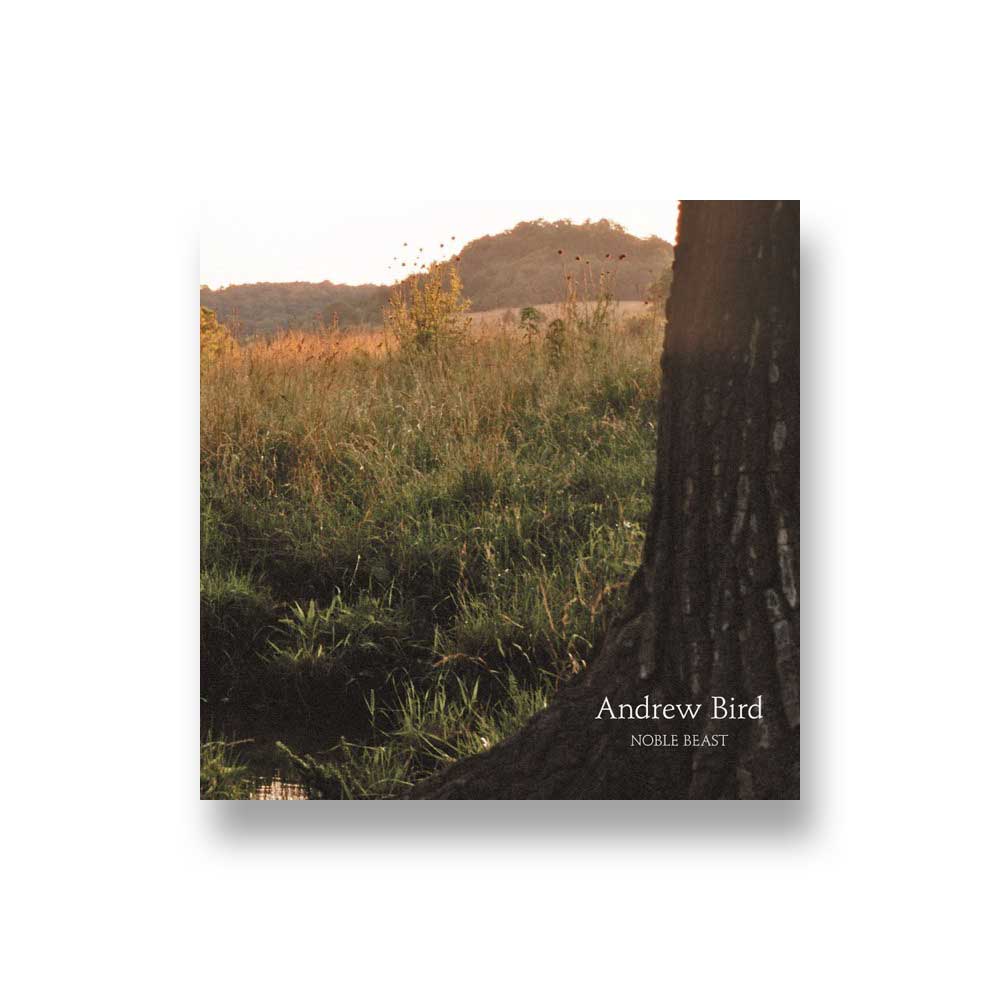 Andrew Bird: Noble Beast CD