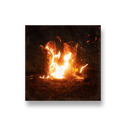 Ben Fuller: Walk Through Fire CD