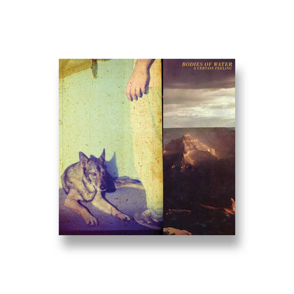 Bodies of Water: A Certain Feeling CD