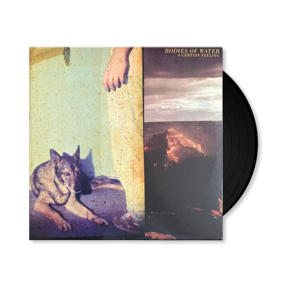 Bodies of Water: A Certain Feeling Vinyl LP