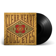 Craig Finn: Clear Heart Full Eyes Vinyl LP