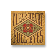 Craig Finn: Clear Heart Full Eyes CD