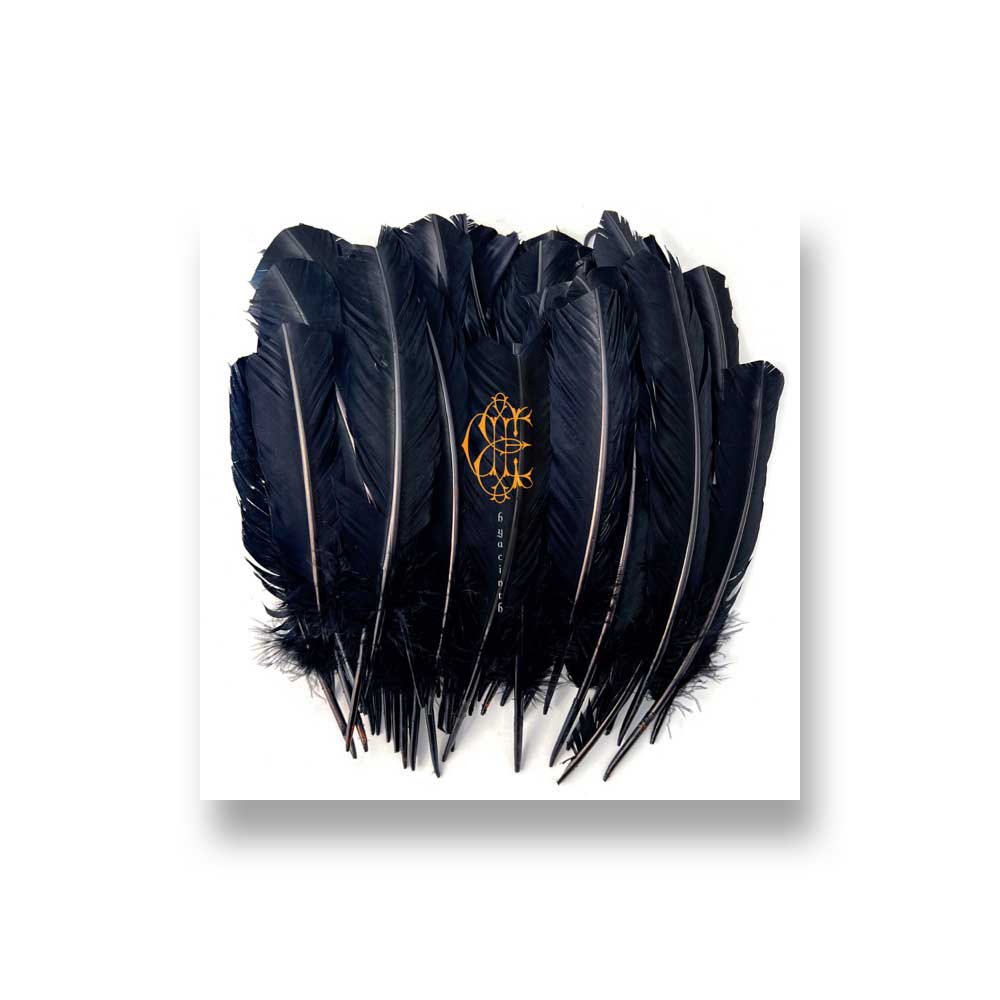 David Eugene Edwards: Hyacinth CD