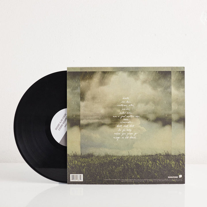 Gregory Alan Isakov: Evening Machines Vinyl LP