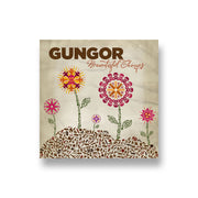 Gungor: Beautiful Things CD