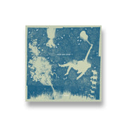 Iron and Wine: Light Verse CD