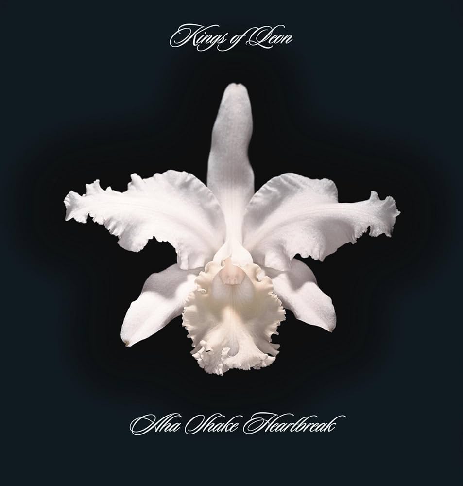Kings of Leon: A-Ha Shake Heartbreak CD