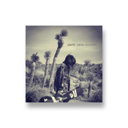 Lights: Siberia Acoustic CD