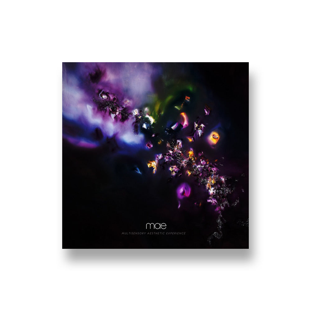 MAE: Multisensory Aesthetic Experience CD