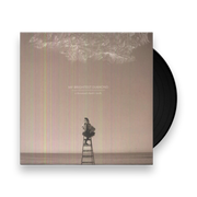 My Brightest Diamond: A Thousand Shark's Teeth Vinyl LP