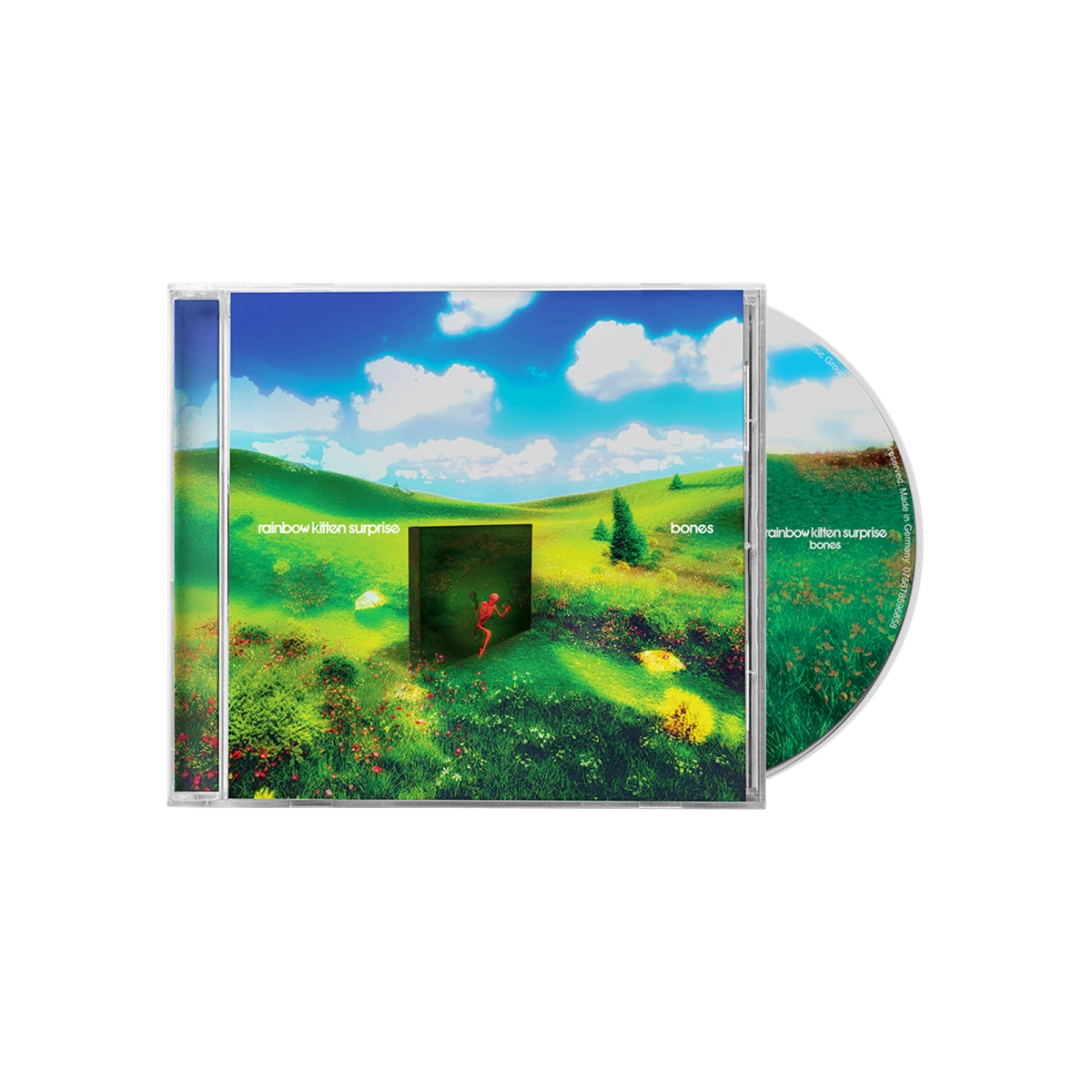 Rainbow Kitten Surprise: Bones CD