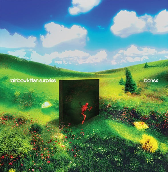 Rainbow Kitten Surprise: Bones Vinyl LP