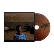 Michael Kiwanuka: Small Changes CD