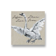 Sufjan Stevens: Seven Swans CD