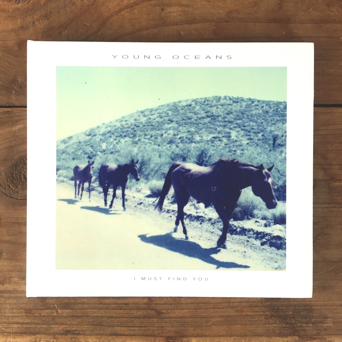 Young Oceans: I Must Find You CD