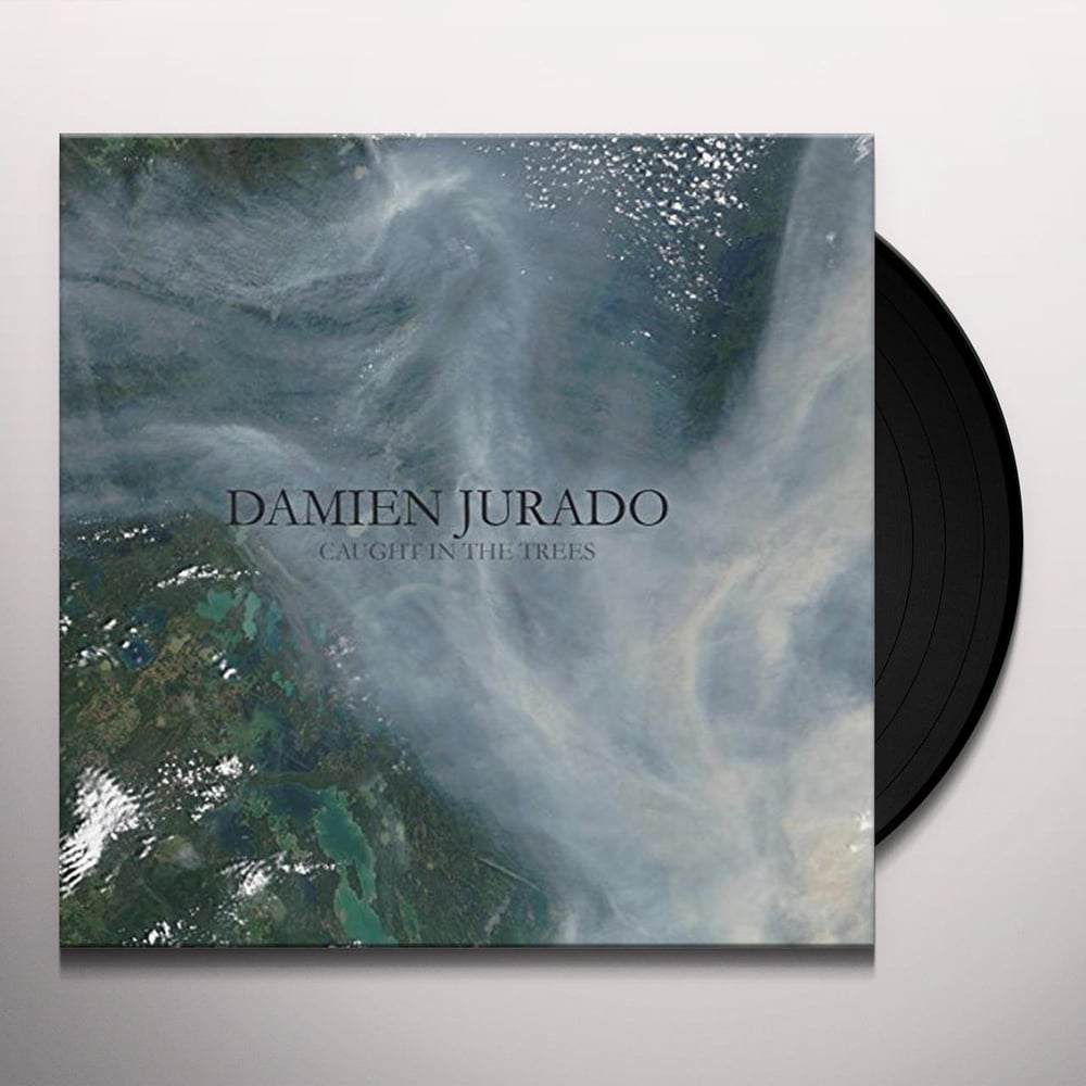 Damien Jurado: Caught In The Trees Vinyl LP