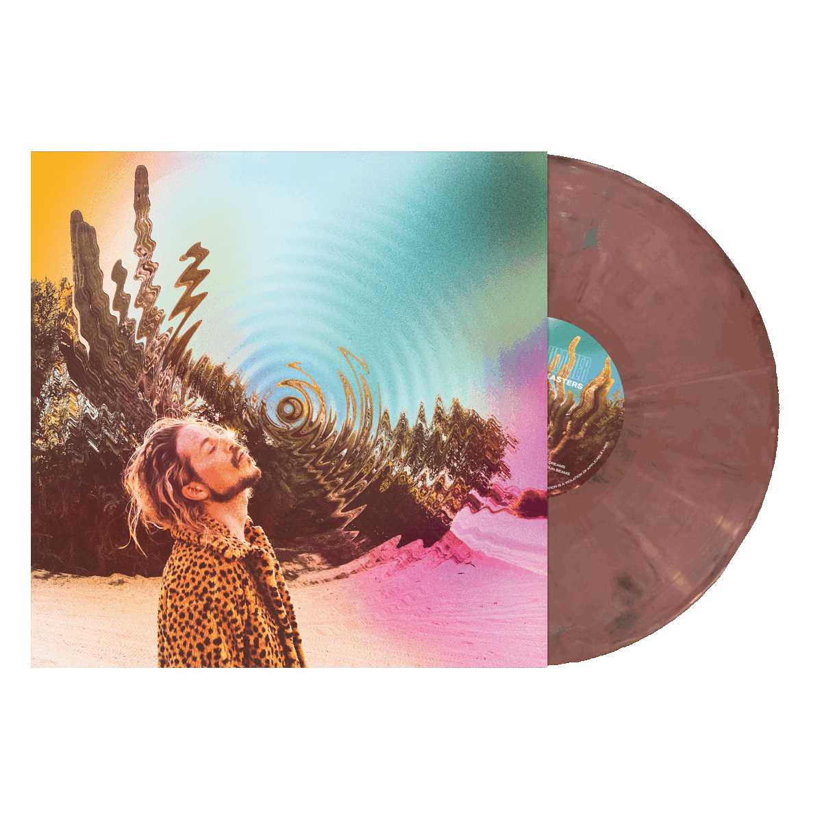 The Rocket Summer: Shadowkasters Vinyl LP (Indie Exclusive Color)