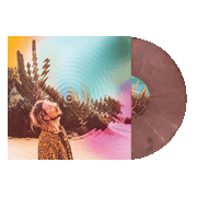 The Rocket Summer: Shadowkasters Vinyl LP (Indie Exclusive Color)