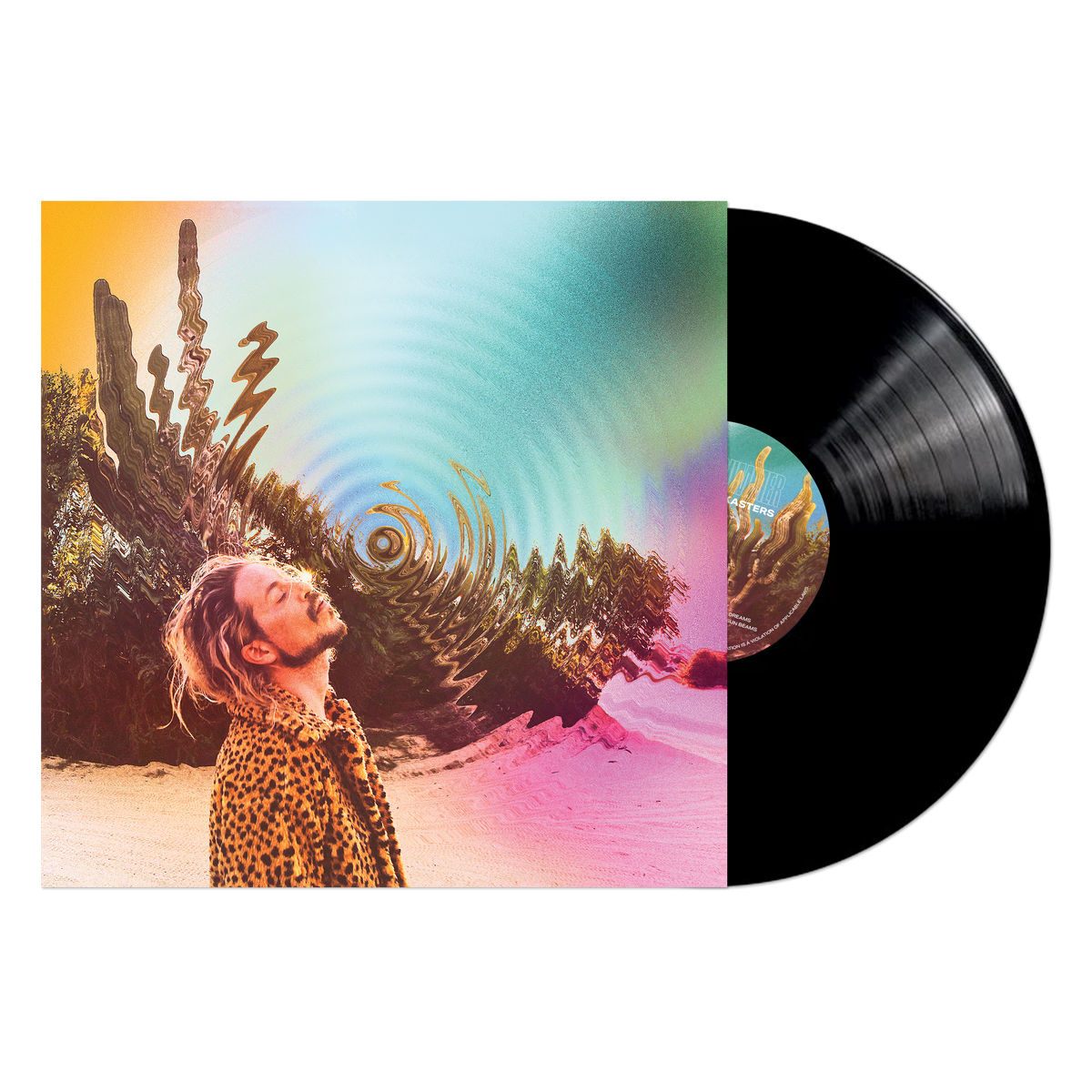 The Rocket Summer: Shadowkasters Vinyl LP (180 gram)
