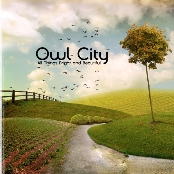 Owl City: All Things Bright and Beautiful Vinyl LP