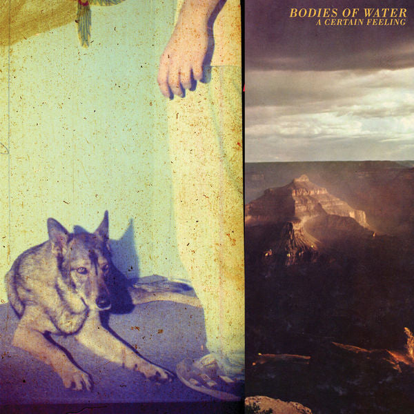 Bodies of Water: A Certain Feeling CD