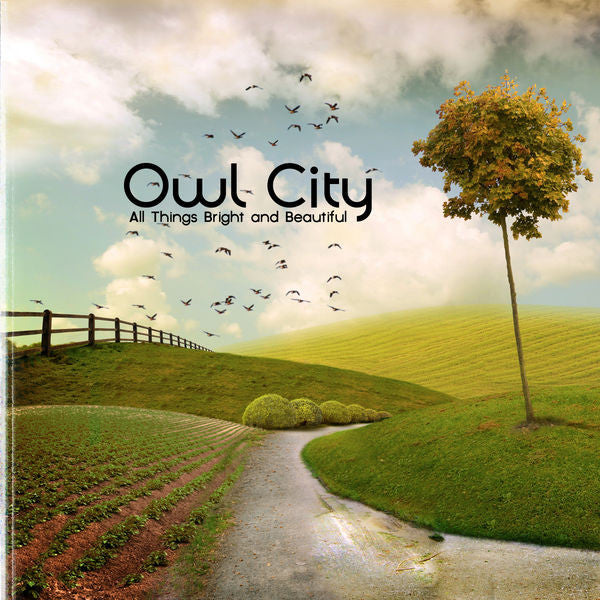 Owl City: All Things Bright & Beautiful CD