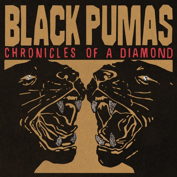 Black Pumas: Chronicles Of A Diamond Vinyl LP (Clear)
