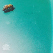 The Rocket Summer: Sweet Shivers Vinyl LP