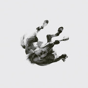 Anberlin: Dark Is The Way, Light Is A Place CD