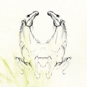 My Brightest Diamond: Tear It Down CD