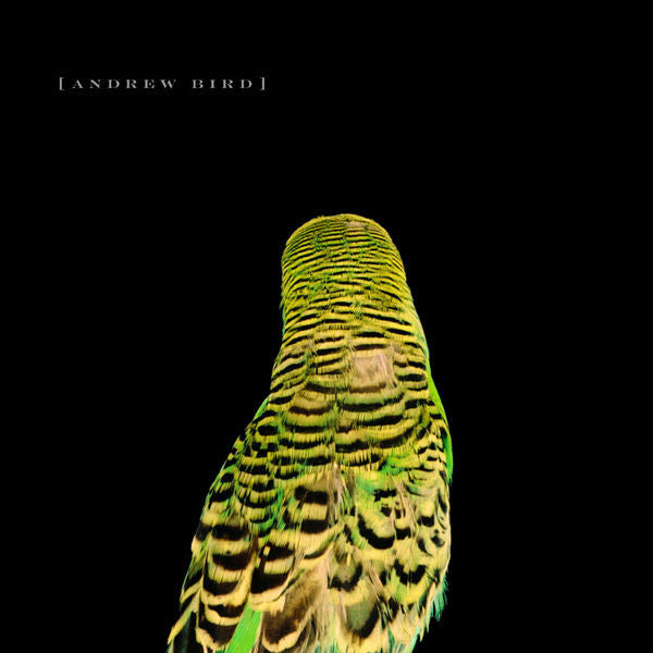 Andrew Bird: Armchair Apocrypha CD