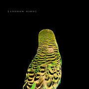 Andrew Bird: Armchair Apocrypha CD