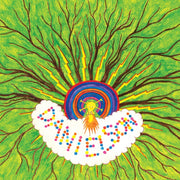 Danielson: Brother Is To Son CD