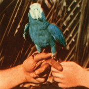 Andrew Bird: Are You Serious Deluxe CD